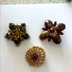 Elegant Gold and Brown Brooch Set
